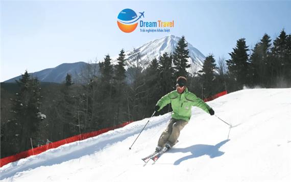 Tour Nhật Bản Hành Trình Vàng Đón Năm Mới 2026